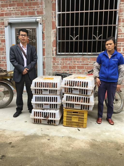 QQ图片20181206105024