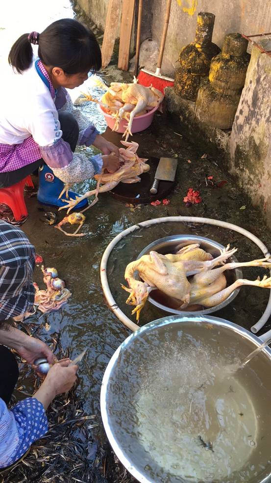 QQ图片20181206152455